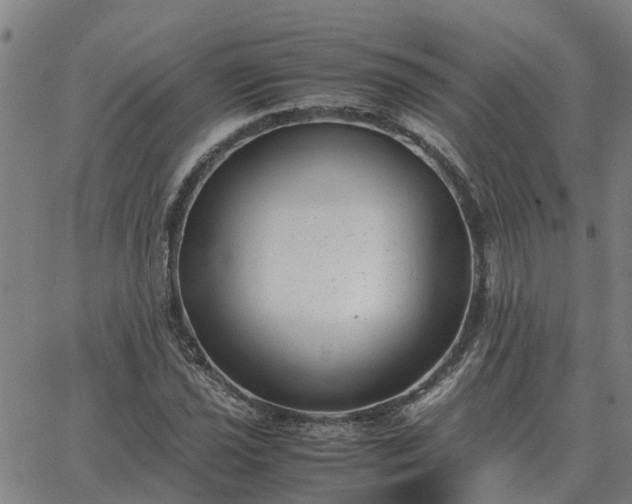 X0000062881021200601201814