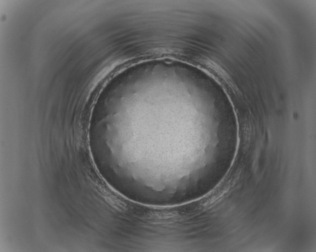 X0000062881023200601201814