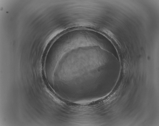 X0000062881024200601201814