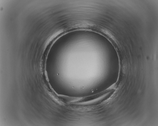 X0000062881026200601201814