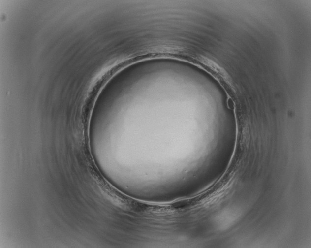 X0000062881027200601201814