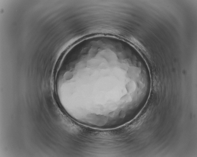 X0000062881028200601201814