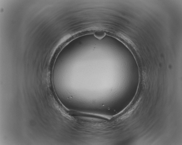 X0000062881029200601201814