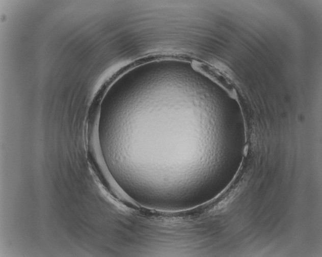 X0000062881030200601201814