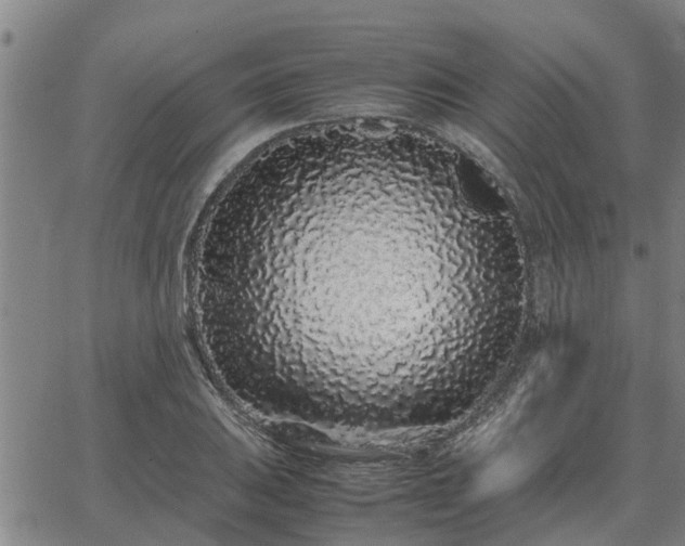 X0000062881031200601201814