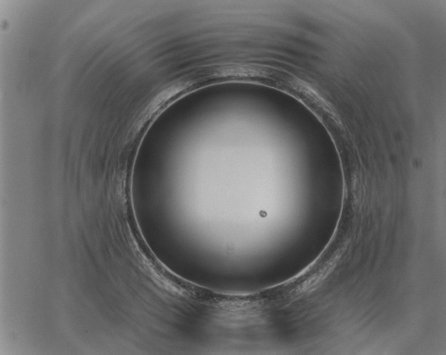 X0000062881033200601201814