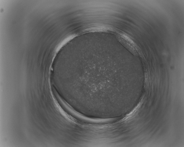 X0000062881034200601201814