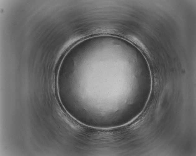 X0000062881035200601201814