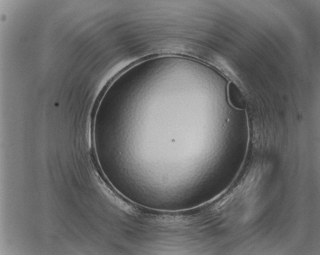 X0000062881036200601201814