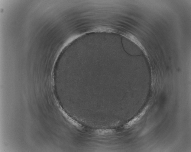 X0000062881037200601201814