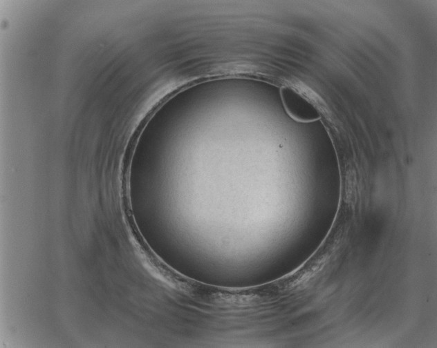 X0000062881039200601201814