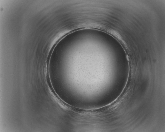 X0000062881040200601201814