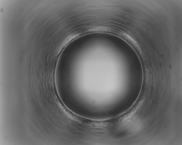 X0000062881041200601201815