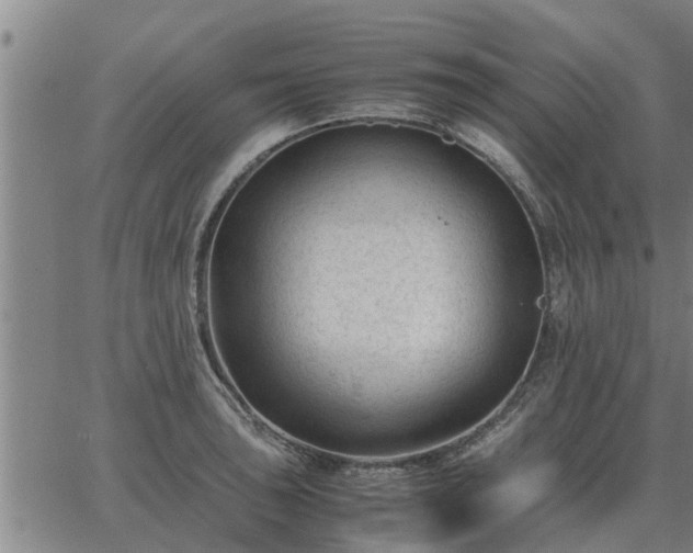 X0000062881043200601201815