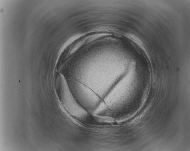 X0000062881045200601201815