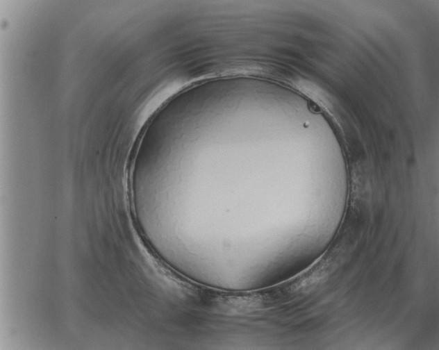 X0000062881047200601201815