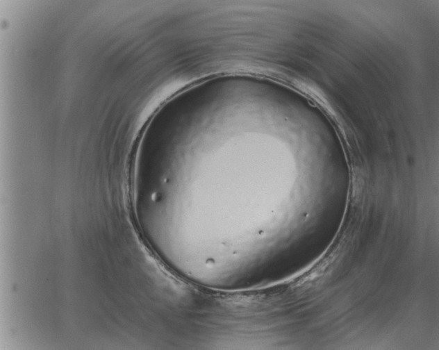 X0000062881048200601201815