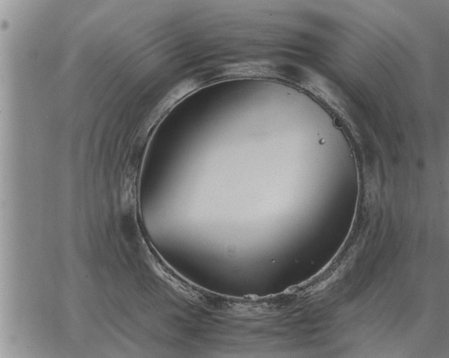 X0000062881049200601201815