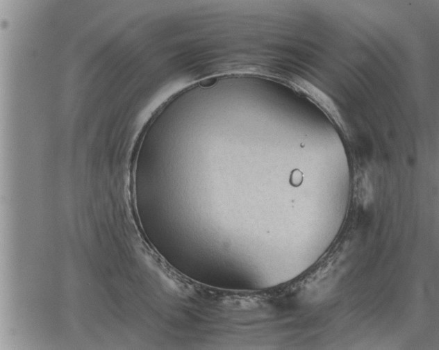 X0000062881051200601201815