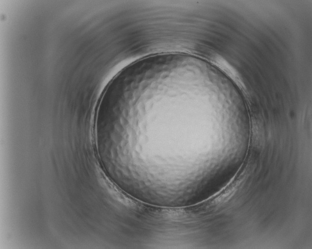 X0000062881052200601201815