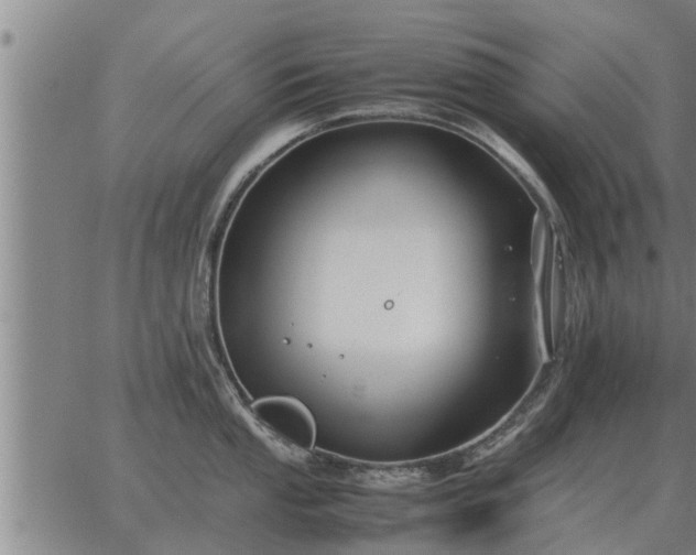 X0000062881053200601201815