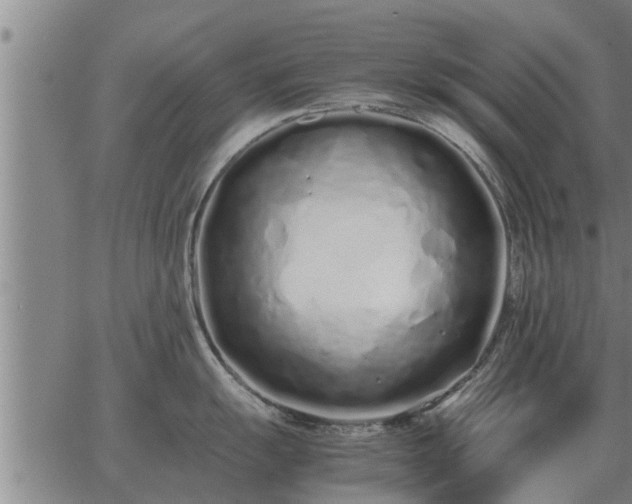 X0000062881055200601201815