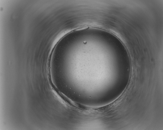 X0000062881056200601201815