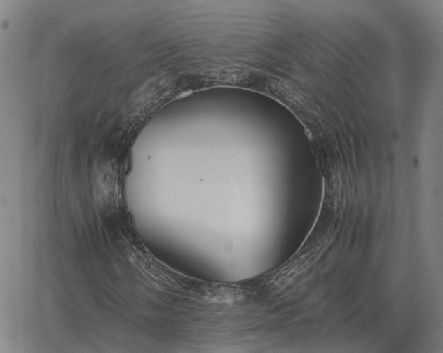 X0000062881058200601201814