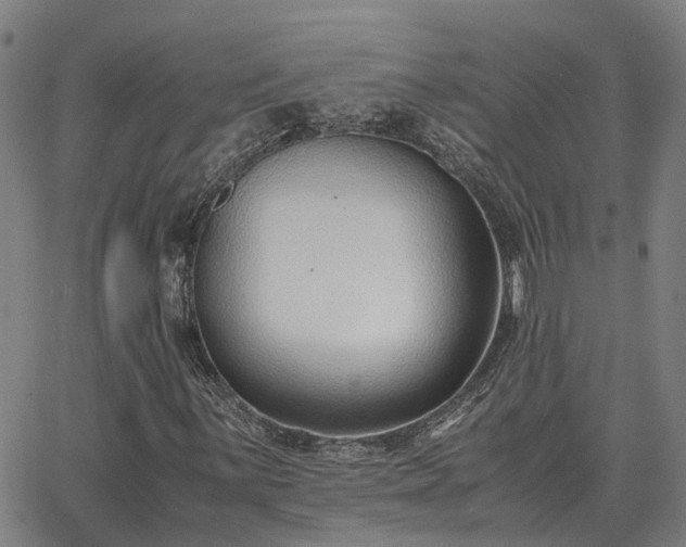 X0000062881059200601201814