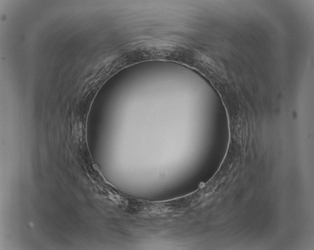 X0000062881061200601201814