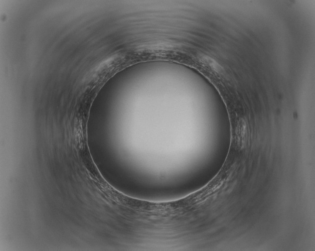 X0000062881062200601201814