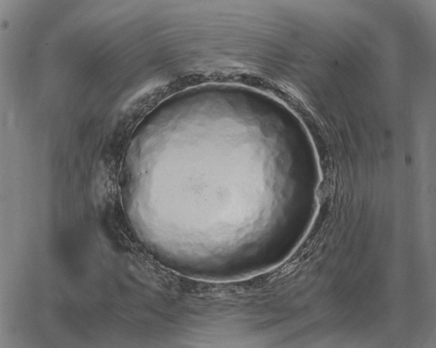 X0000062881063200601201814