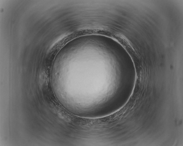 X0000062881064200601201814