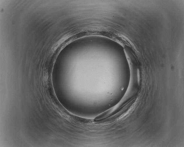 X0000062881065200601201814