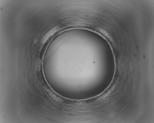 X0000062881067200601201814