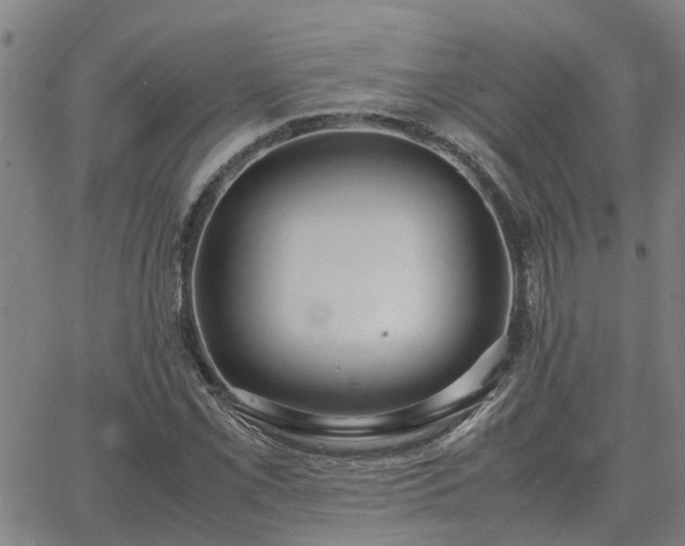 X0000062881069200601201814