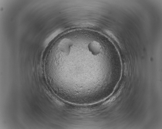 X0000062881071200601201814