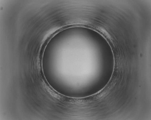 X0000062881072200601201814