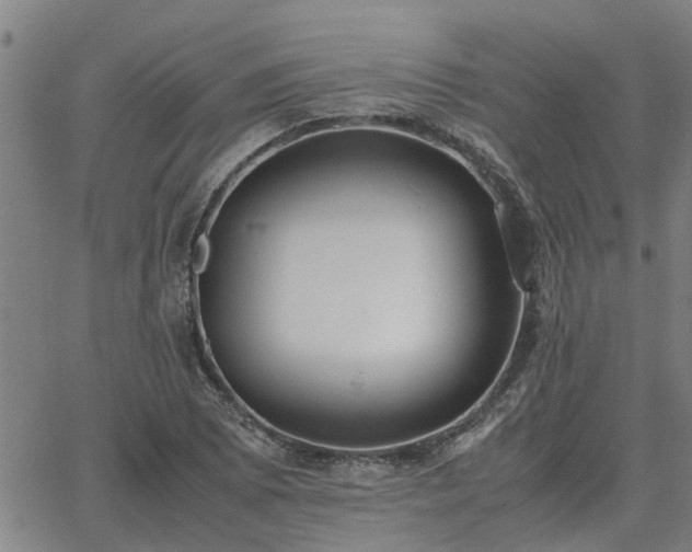 X0000062881073200601201814