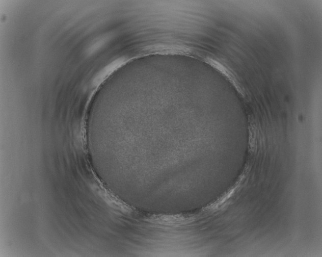 X0000062881074200601201814