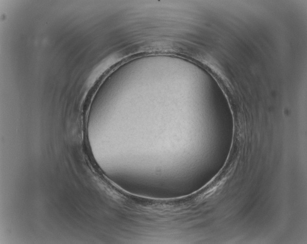 X0000062881075200601201814