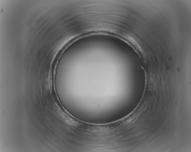 X0000062881076200601201814