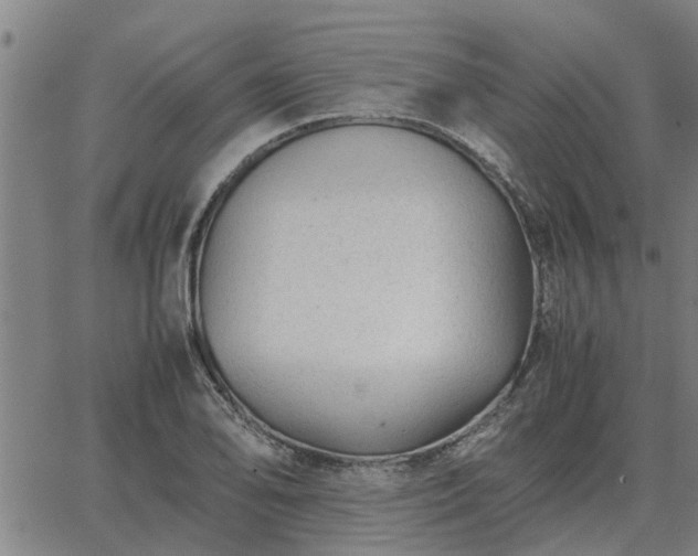 X0000062881078200601201814