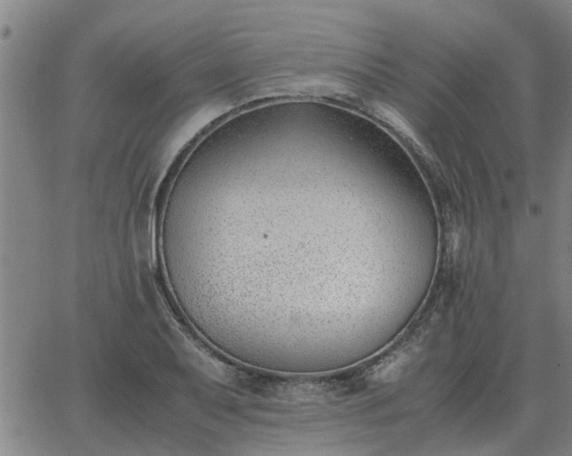 X0000062881079200601201814