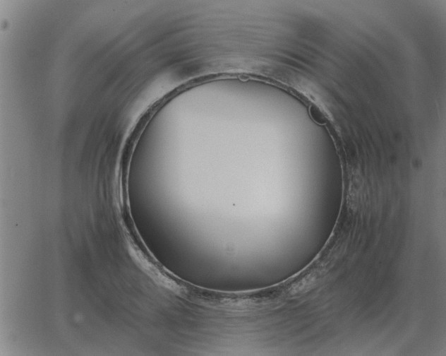 X0000062881080200601201814