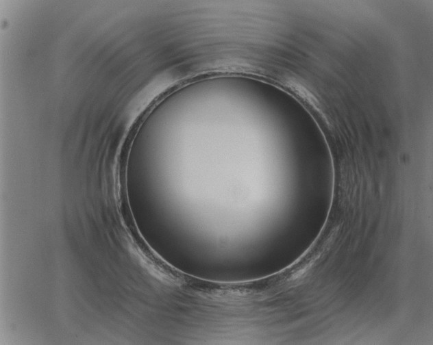 X0000062881082200601201814