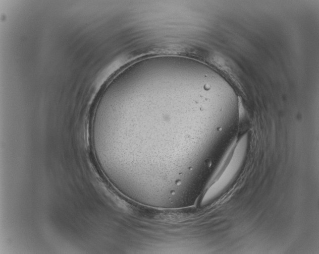 X0000062881083200601201814