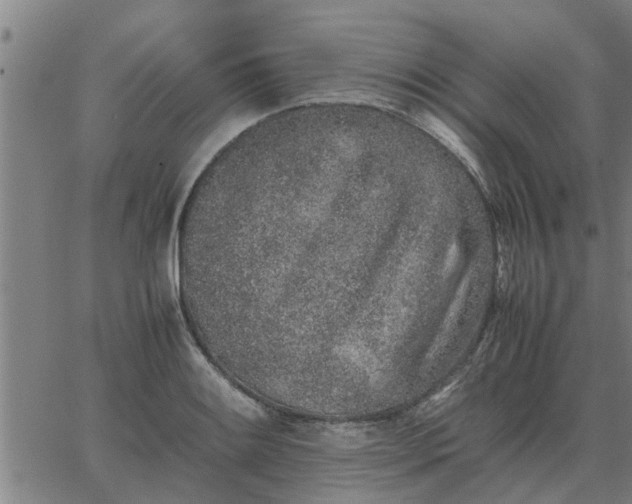 X0000062881084200601201814