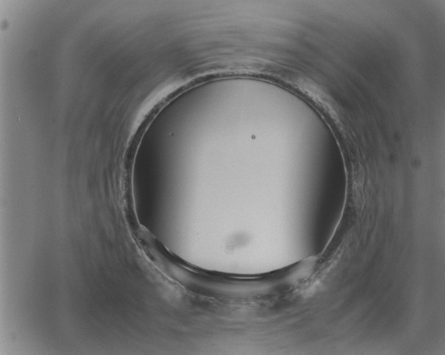 X0000062881085200601201814