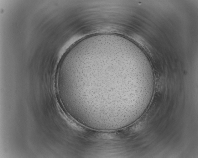 X0000062881086200601201813